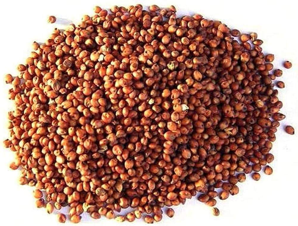 Sorghum image