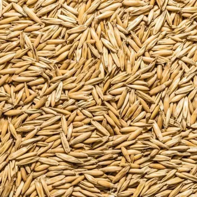 Oats image