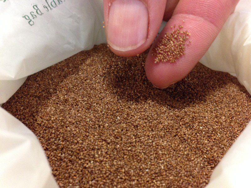 Teff image